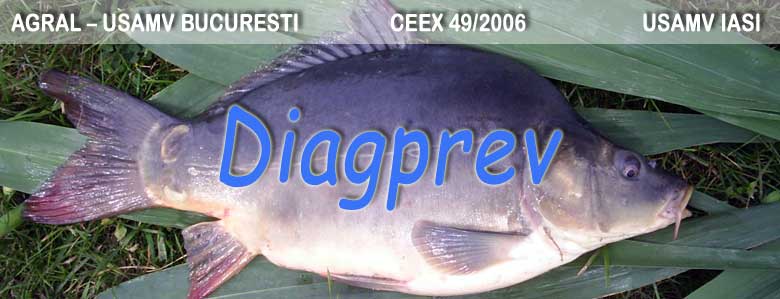 Diagprev: AGRAL-USAMV BUCURESTI; CEEX 49/2006; USAMV IASI