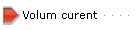 Volum curent