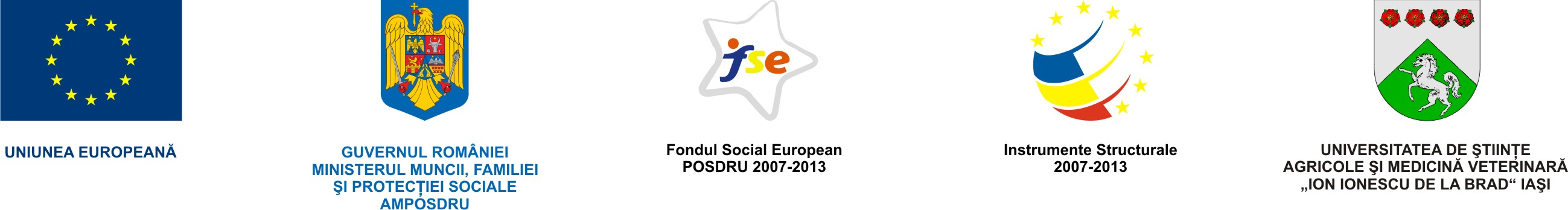 Proiect POSDRU 41/3.3/G/21568