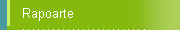 Rapoarte