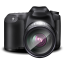Galerie foto